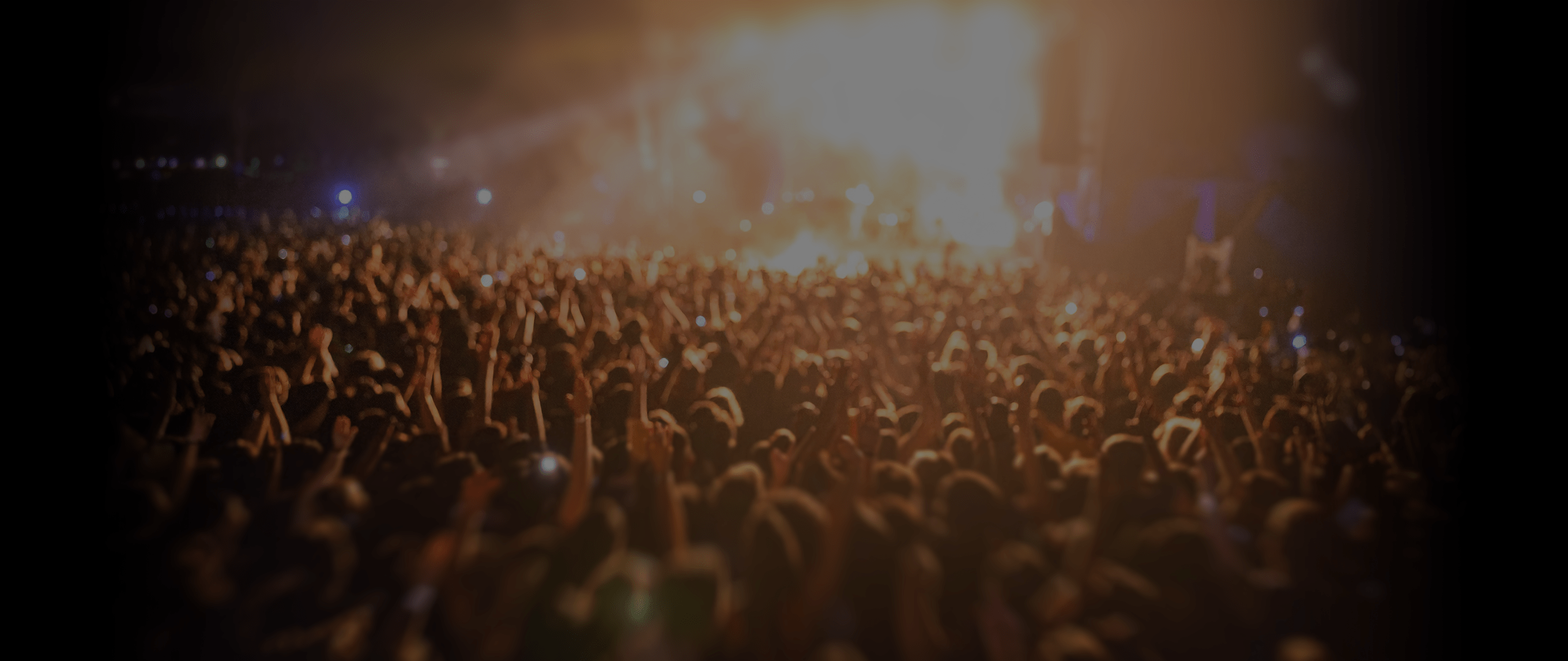 Concert Crowd